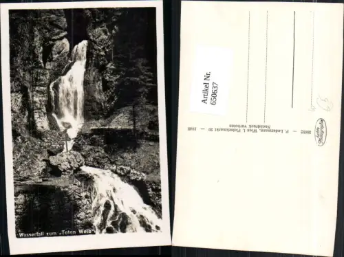 650637,Foto Ak Wasserfall zum Toten Weib Wasserfall Mürzsteg Neuberg an der Mürz