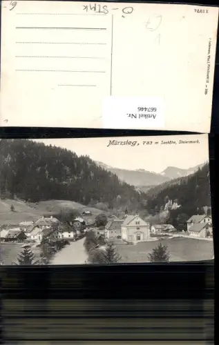 667446,Mürzsteg Totale Neuberg an der Mürz pub P. Ledermann 11974