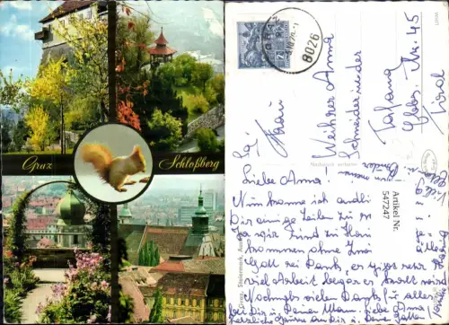 547247,Graz Schlossberg Eichhörnchen