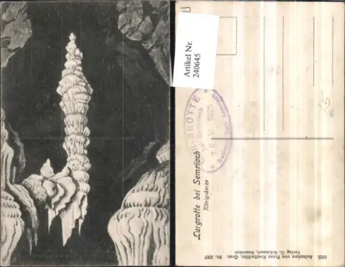 240645,Lurgrotte Grotte b. Semriach Königskerze