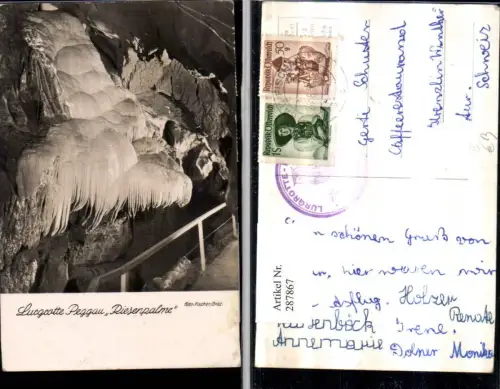 287867,Lurgrotte Peggau Riesenpalme