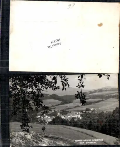 105321,Schäffern Totale