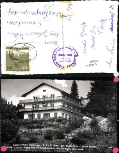 119095,Schaueregg b. Mönichkirchen a. Wechsel Waldgasthof Pension Tränk-Törl 1973