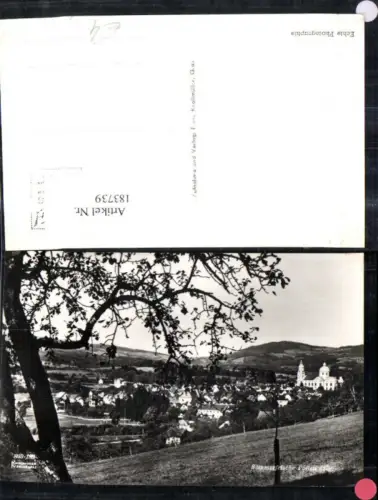 183739,Pöllau Ansicht m. Baum i. Vordergrund