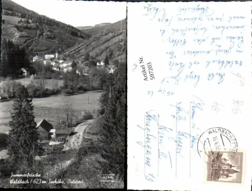 597203,Waldbach Totale