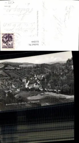 611844,Foto Ak Waldbach Waldbach-Mönichwald Totale