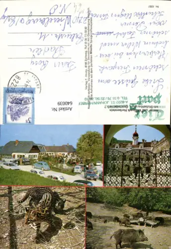 640039,Mehrbild Ak Wildpark Sankt Johann bei Herberstein VW Käfer Wildschweine Tier Tierpark