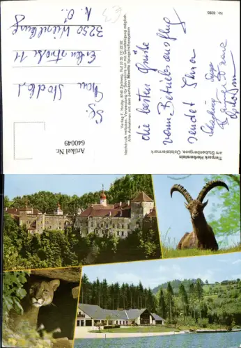 640049,Mehrbild Ak Sankt Johann bei Herberstein Tierpark Tiere