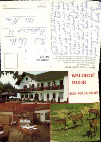 641252,Mehrbild Ak Pöllau bei Hartberg Gasthof Pension Muhr Wild Rehe