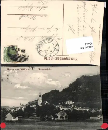 95484,Gruss aus Wildon Nordansicht 1902