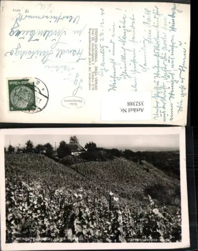 352388,Gamlitz Unter-Eckberg Weingut Sonneck Weinreben