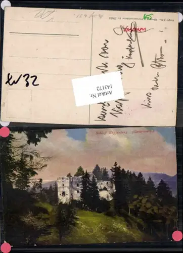 143172,Schloss Kapfenberg um 1910 pub Purger Co 10954