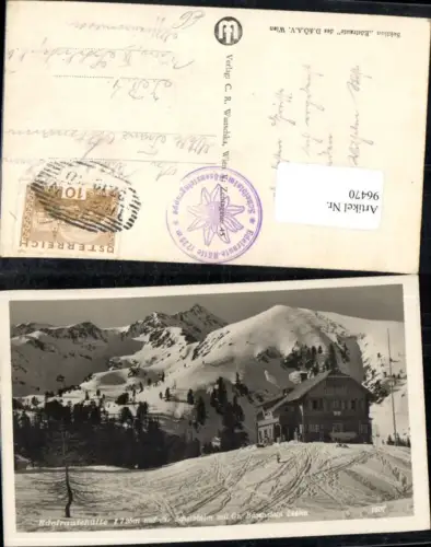 96470,Edelrautehütte mit Bösenstein Detailansicht Trieben