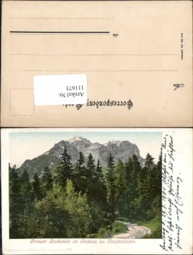 111673,Grosser Buchstein Gesäuse bei Gstatterboden Purger Co 765