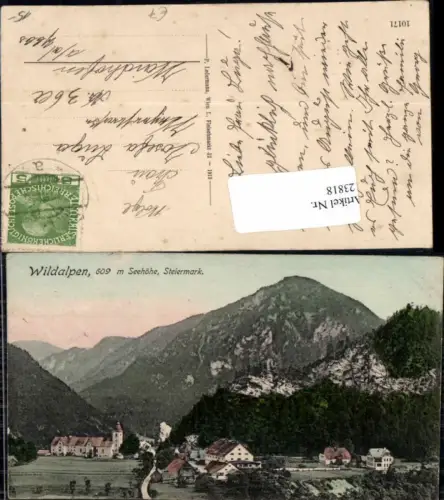 123818,Wildalpen Tolle Ortsansicht 1913