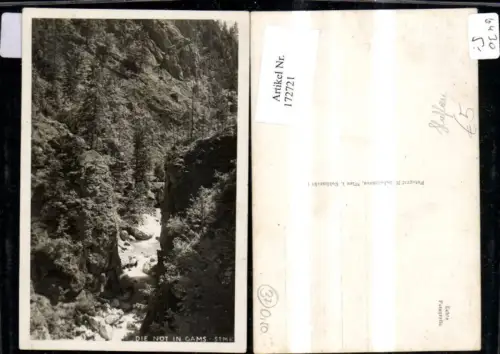 172721,Die Not i. Gams Hieflau Ansicht Schlucht Fluss