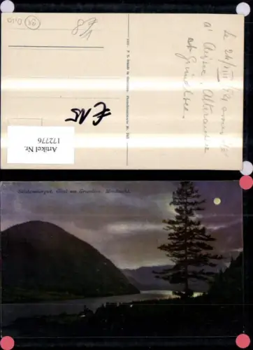 172776,Gössl a. Grundlsee Mondnacht Salzkammergut 1921 pub F. E. Brandt 948