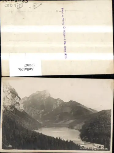 172867,Leopoldsteinersee b. Eisenerz Foto Ak