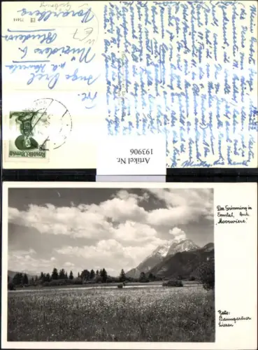 193906,Der Grimming im Ennstal b. Gröbming Moorwiese
