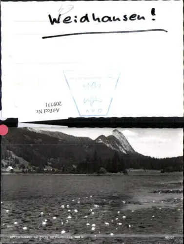 209771,Spechtensee See b. Pürgg m. Hochtausing Seerosen