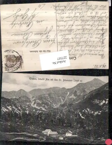 227357,Trieben Scheibl Alm m. d. Gr. Bösenstein Bergkulisse