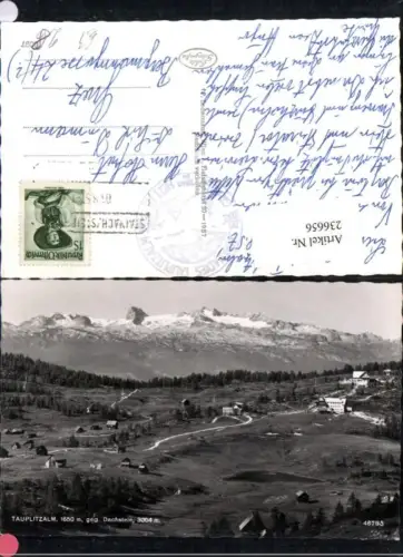 236656,Tauplitzalm b. Tauplitz geg. Dachstein