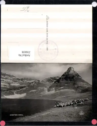236658,Augstsee See b. Altaussee Hirte Schäfer Schafe