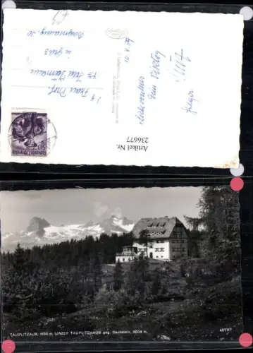 236677,Tauplitzalm b. Tauplitz m. Linzer Tauplitzhaus geg. Dachstein