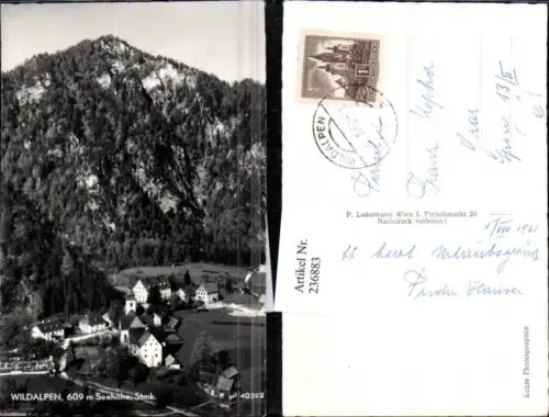236883,Wildalpen Totale