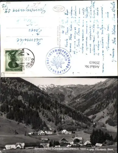 253613,Donnersbachwald Totale geg. Mörsbach Bergkulisse