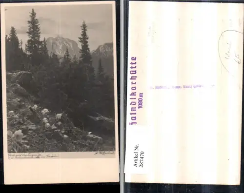 287470,Foto AK Blick auf d. Lugauer von d. Ennstalerhütte im Gesäuse b. Admont