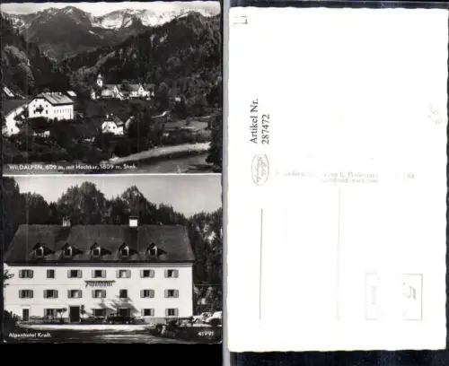 287472,Wildalpen Totale m. Hochkar Bergkulisse Alpenhotel Kraft Mehrbildkarte