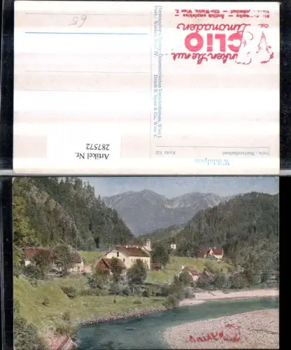 287572,Wildalpen Teilansicht Bergkulisse