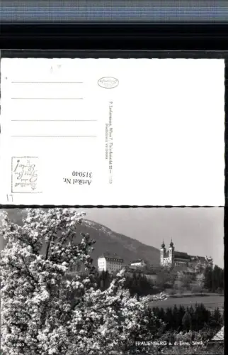315040,Frauenberg an d. Enns Kirche Baumblüte