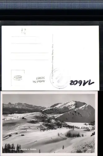 315857,Tauplitzalm b. Tauplitz Lawinenstein u. Dachstein Bergkulisse Winterbild