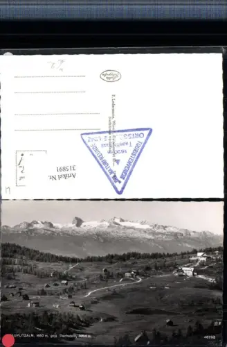 315891,Tauplitzalm b. Tauplitz Almhütten geg. Dachstein Bergkulisse