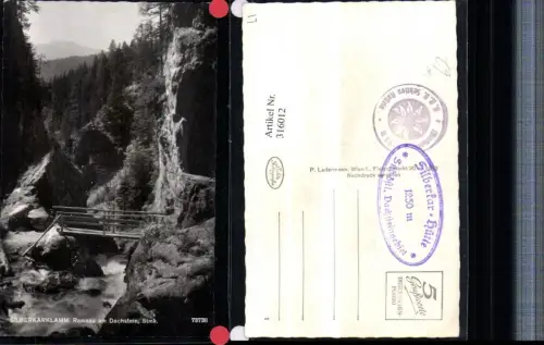 316012,Ramsau am Dachstein Silberkarklamm Klamm Brücke