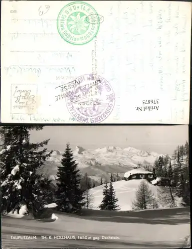 376875,Tauplitzalm b. Tauplitz Theodor-Karl-Hollhaus Berghütte Bergkulisse Winterbild