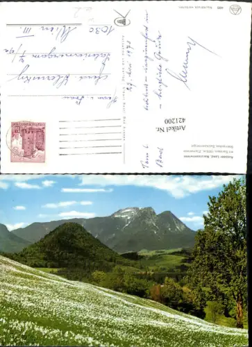 421200,Aussee Narzissenwiese m. Sarstein Bergkulisse
