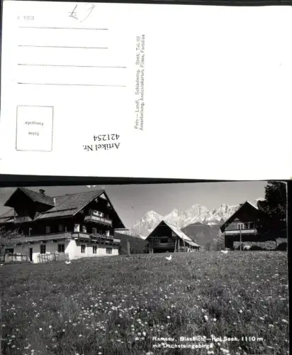 421254,Ramsau am Dachstein Blasbichl-Hof Häuser Bergkulisse