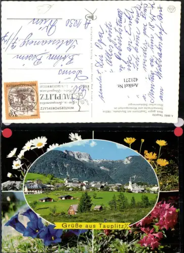 421271,Tauplitz Totale Bergkulisse Passepartout Alpenblumen Mehrbildkarte
