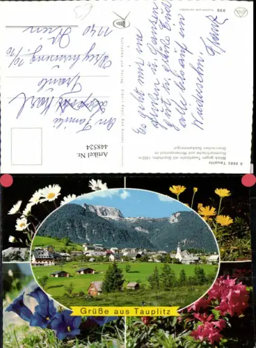 448524,Tauplitz Totale Bergkulisse Passepartout Alpenblumen Enzian Mehrbildkarte