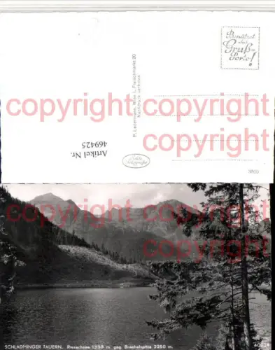 469425,Riesachsee See b. Schladming geg. Brechelspitze Bergkulisse