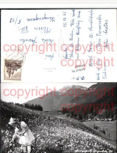469446,Mitterndorf Narzissenwiese Mädchen Bergkulisse pub Helmut Kain 196