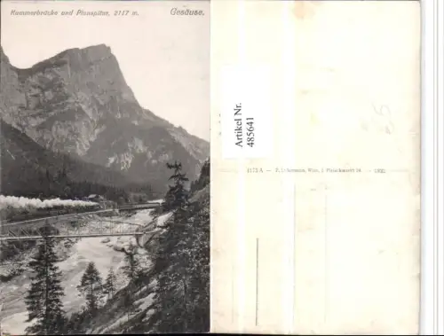 485641,Gesäuse Kummerbrücke Brücke m. Planspitze b. Johnsbach
