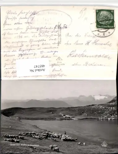 485747,Augstsee See b. Altaussee m. Dachstein Schafherde Bergkulisse