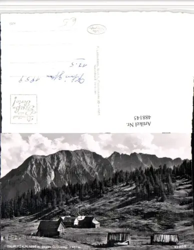 488145,Tauplitzalm b. Tauplitz geg. Grimming Bergkulisse