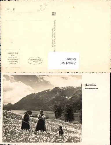 547083,tolle Foto-AK Grundlsee Aussee Nazissenwiese pub Albert Rastl Bad Aussee