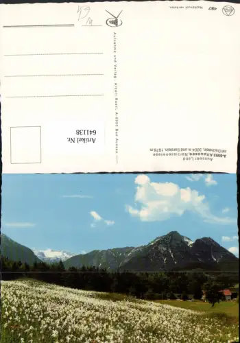 641138,Ausseer Land Altaussee Narzissenwiese m. Dachstein