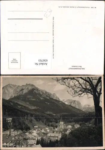 656703,Salzkammergut Bad Aussee Ansicht